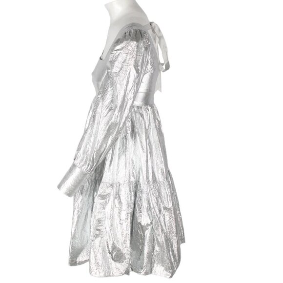 Rachel Antonoff Christa Empire Dress in Silver 2 NWT - Picture 5 of 6